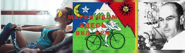 марки lsd Гусь-Хрустальный