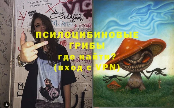 марки lsd Гусь-Хрустальный