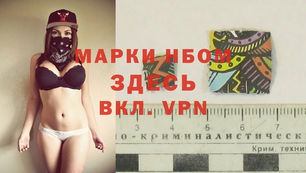 ALPHA PVP Гусев