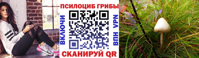 Галлюциногенные грибы MAGIC MUSHROOMS  Чегем 